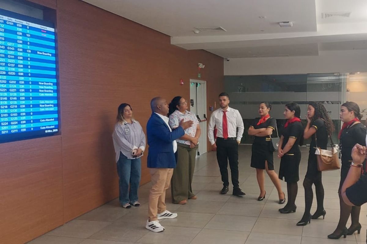 Técnico en Servicios para Aerolíneas